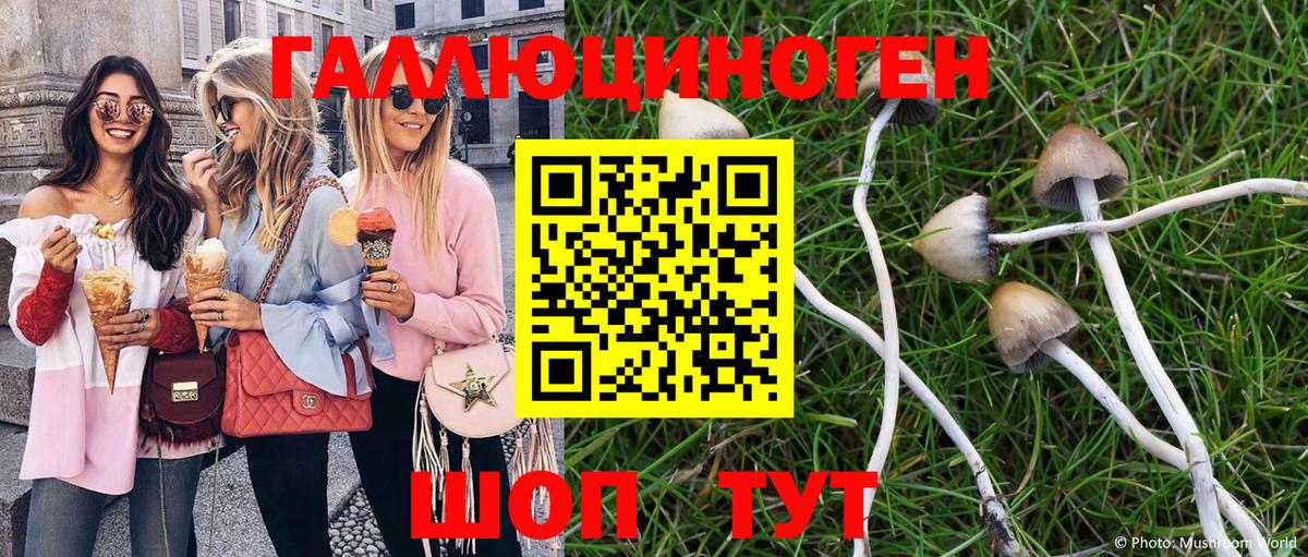 Псилоцибиновые грибы Psilocybe  что такое   Вход с VPN  Сердобск  Галлюциногенные грибы MAGIC MUSHROOMS 